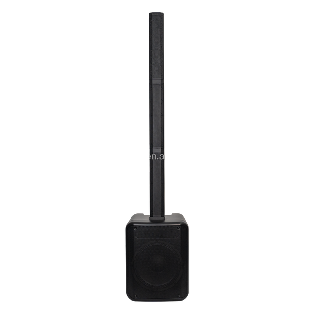 Professional 12-Inch Portable PA Active Speaker System with Active Plate Amplifier for Indoor and Outdoor Live Performances