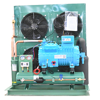 Condenseur d'air pour chaîne du froid 12HP à économie d'énergie pour unité de condensation de compresseur avec moteur pour stockage de produits surgelés