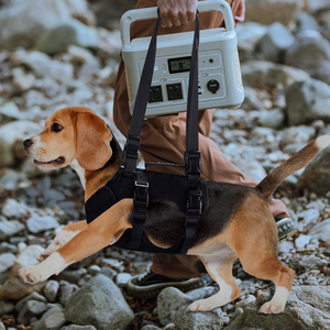 Arnés de Apoyo Multifuncional para Perros con Discapacidad, Ancianos o de Gran Tamaño, para Sujeción Manual en Pecho y Espalda - Product Image 3