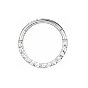 Anneau segmenté à charnière en acier inoxydable 316L avec zircone cubique |   Bijoux de piercing hypoallergéniques plaqués or pour les oreilles, le nez, le cartilage - Cadeau - Product Image 2