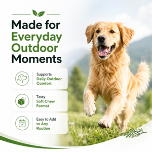 Complément de soutien contre les puces <span class=keywords><strong>et</strong></span> les tiques pour chiens, à base d'ingrédients naturels, protection contre les démangeaisons cutanées, pour chats <span class=keywords><strong>et</strong></span> chiens, défense extérieure, comprimés à mâcher souples - Product Image 3