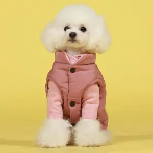 Waterproof Dogs Vest Designer Coats Luxury Dog Apparel Pet Clothes