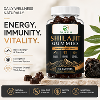 Gummies de pectine de Shilajit de l'Himalaya OEM Ruijin 600mg pour adultes, soutien immunitaire, saveur framboise