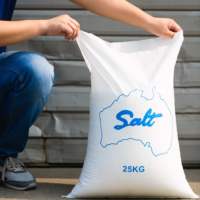 Karung Plastik PP Anyaman 25 Kg 50 Kg untuk Pengemasan Beras Gula Tepung Gandum Jagung dari Pabrik OEM