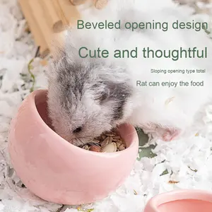 Toptan çevre dostu seramik evcil hayvan kaseleri & besleyiciler katı desen PC şeker renk altın ayı tasarım küçük evcil yiyecek kasesi - Product Image 2