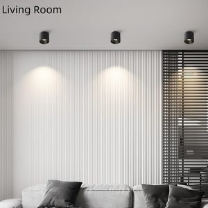 Lámpara de Techo LED Negra para Interiores, IP44, de Hierro, para Montaje en Superficie, con Bombilla Reemplazable, Foco de Techo - Product Image 2