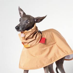 Qiqu diseñador personalizado lujo italiano <span class=keywords><strong>galgo</strong></span> impermeable 00% impermeable a prueba de viento estilo moderno Lima punzón hecho poliéster duradero - Product Image 6