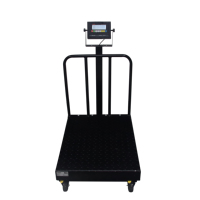 Balance numérique de table en acier au carbone 40x50cm personnalisable OEM