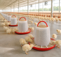 Nouvel abreuvoir automatique en plastique PP pour poussins, longue durée de vie, utilisation à la ferme, alimentation des poulets