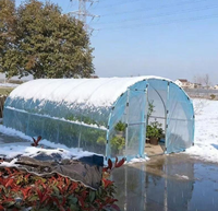 Serre agricole miniature pour jardin domestique, monocouche, petite taille, facile à installer