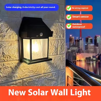 Lampe murale solaire extérieure à économie d'énergie, étanche IP65, petite lampe LED à intensité variable, lampe solaire de jardin pour cour et jardin
