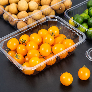 Produsen Oem Kemasan Makanan Sekali Pakai Baki Plastik Pet untuk Pajangan Supermarket Makanan - Product Image 6