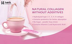 Boisson NAD+ à Marque Privée OEM Complément Anti-Âge Stimuler l'Énergie et la Santé Cellulaire - Product Image 5