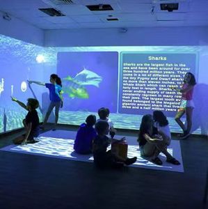 AR Interactive Games Immersive Interactive Wall Projection Software - Product Image 1