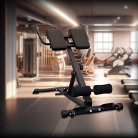 Hyperextension chaise romaine banc d'extension de dos Machine de Fitness pliable pour la maison GYM taille réglable entraîneur de dos abdominal