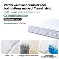 Matelas en Soie Glacée Doux, Régulateur de Température, Silicone Écologique, Respirant, Hypoallergénique, Anti-Moisissure/Anti-Acariens pour Chambre à Coucher