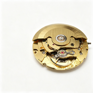 Mouvement de montre en acier inoxydable de haute qualité, tout neuf, mouvement Tianjin 2824, calendrier simple jour. Horloger assemble une montre - Product Image 3