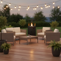 Nouveau Chauffage de Terrasse à Gaz en Acier Moderne 2026 avec Brasero, Protection Contre le Vent et Panneau de Commande Dissimulé pour Espaces Extérieurs, Certifié CE