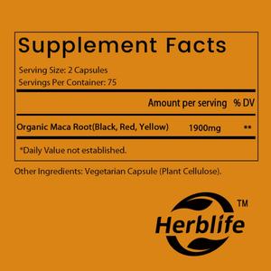 Capsules de Maca Biologique à Vente Chaude OEM/ODM pour Adultes Compléments Alimentaires à Base de Plantes - Product Image 2