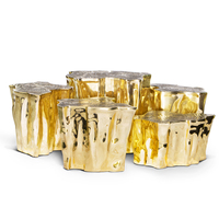 Ensemble de table basse en laiton poli moulé avec base plaquée or, design gravé artisanal, mobilier de luxe inspiré de la nature