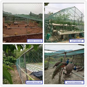 Rete Anti-Uccelli in HDPE che Non Permetterà Più agli Animali di Tutte le Dimensioni di Danneggiare e Mangiare nei Vostri Giardini - Product Image 2
