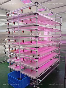 Systèmes de culture Microgreen Plateaux Microgreen à vendre avec Full Spectrum <span class=keywords><strong>Tube</strong></span> Grow Lights système microgreen pour plantes hydroponiques - Product Image 6
