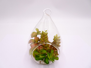Fiore Succulento Artificiale Moderno <span class=keywords><strong>in</strong></span> <span class=keywords><strong>Vaso</strong></span> di Vetro, Piccola Pianta Succulenta Artificiale - Product Image 4
