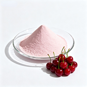 Ekstrak Buah Acerola Murni Harga Vitamin C Bubuk Jus Buah Ceri Alami - Product Image 4