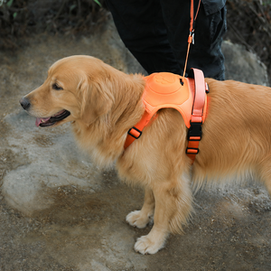 Harnais et laisse rétractables 2 en 1 pour chien, anti-traction, gilet de poitrine pour animaux de compagnie, laisse automatique pour grands chiens, promenade en extérieur - Product Image 5