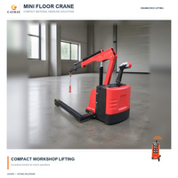 Mini-grue de levage hydraulique mobile de 900 kg avec certification CE