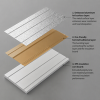 Panneau d'isolation thermique en mousse de polystyrène XPS pour chauffage par le sol, économie d'énergie, faible conductivité thermique, ignifuge B1