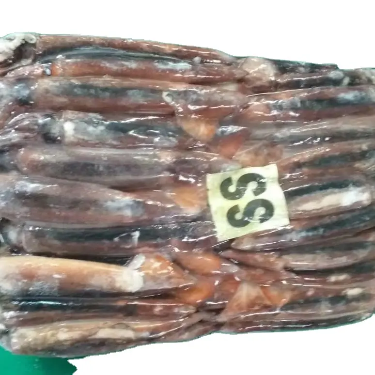 High Quality Good価格Wholesale Frozen Black Squid