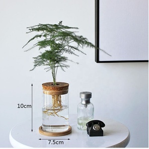 Décoration de maison moderne, mini pot de fleurs hydroponique, pot de plantes sans terre en PVC transparent avec vase en verre, plantes rondes vertes, jardin, pièce - Product Image 4
