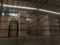 Suelo laminado Fábrica de China Calidad alemana Suelo laminado Baldosa de madera 8mm 7mm Precio más bajo