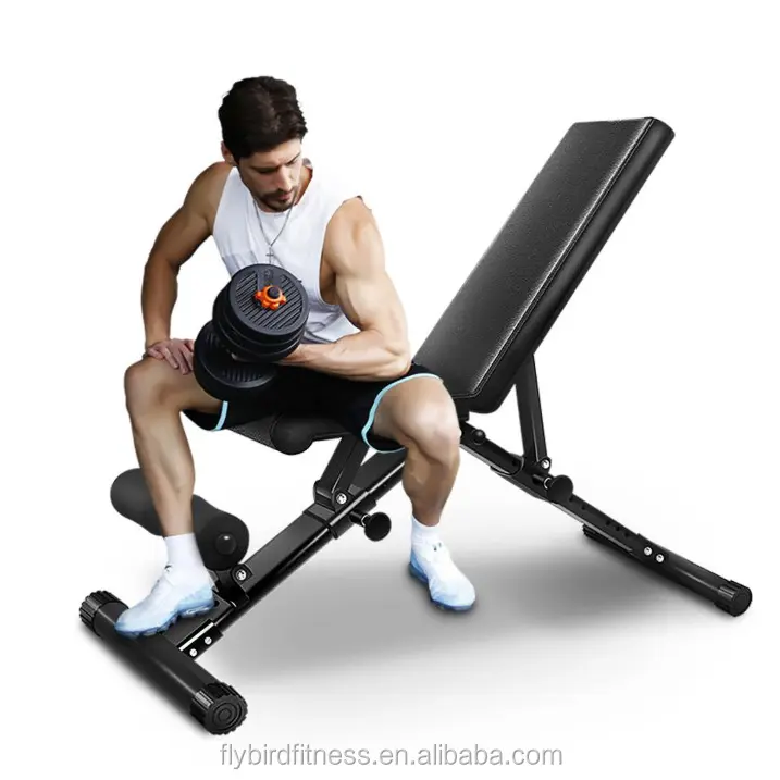 Hot Sale Fitness Gym Flybird Price Flat Dumbbell Weight Bench