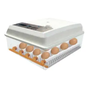 ACME 176 eggs incubator