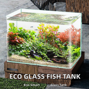 ホワイトクリアベントガラス水槽小型生態塩水水槽家庭用デスクトップボックス梱包 - Product Image 3