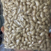 Arachides blanchies en gros, qualité supérieure, sans peau, pour la fabrication de pâtisseries et de snacks