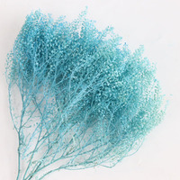 Groothandel Gedroogde Eeuwige Bloemen Echte Gedroogde Bloemboeket Mini Vaas Decoratie Mini Fan voor Huis Kantoor Bureau Feest Cadeau