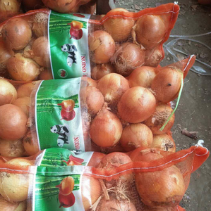 Los últimos productos agrícolas, cebollas amarillas frescas - Product Image 5