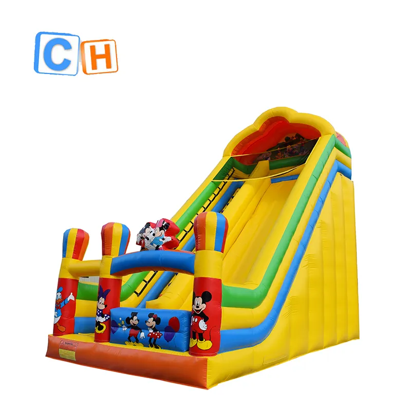 2022 hot sale inflatable dry slide,Outdoor and Indoor Inflatable slide,Factory price beautiful commercial inflatable slide