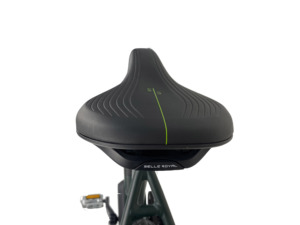 Bicicleta Eléctrica Urbana Queene Nueva de 36V 250W con Transmisión por Correa y Batería Oculta para Adultos, 700C - Product Image 5