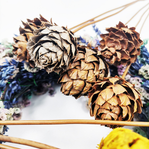 Été <span class=keywords><strong>flora</strong></span> Instagram séchées naturelles <span class=keywords><strong>bouquet</strong></span> pour la Décoration De Noël fleurs séchées pomme de pin - Product Image 6