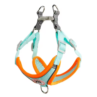 Ensemble laisse et harnais pour chien classique, durable, personnalisé, aux couleurs vives, anti-évasion, en néoprène doux au toucher et tissu mesh, pour chiens Labrador