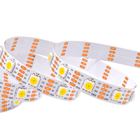 Lampu Strip Dekorasi Rumah Kamar Tidur Pesta Festival Berkualitas Tinggi 60led SK9822 Putih 10mm Pencahayaan Dalam Ruangan Modern Tahan Air