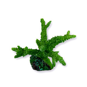 2018 Thuis Aquarium Aquarium accessoires reef hars koralen voor koop - Product Image 2