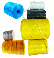 Fil de liage et de cerclage pour serres agricoles, coloré, teinté, 2 mm, 100 % polypropylène, anti-UV, pour tomates