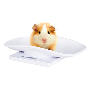 Accurate Pet <b>Food</b> Weighing <b>Scale</b> <b>for</b> Precise Feeding of Cats and Dogs Small Animal Supplies - Product Image 2