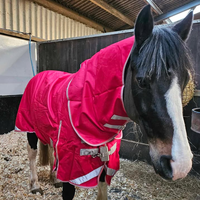 Couverture d'extérieur imperméable verte pour cheval avec col en fausse fourrure, résistante à la pluie, pour l'hiver