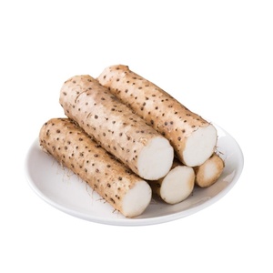 Meilleur choix pour <span class=keywords><strong>acheter</strong></span> de l'extrait de yam sauvage, poudre de yam sauvage à bon prix - Product Image 4